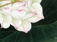 1976年農(nóng)歷八月初四陽歷是多少號(hào) 1976年農(nóng)歷8月初四