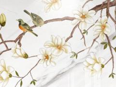 算命中傷月是什么意思 傷官月令是什么意思