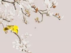 1985臘月初九卯時(shí)生辰八字 1985臘月初九是什么星座