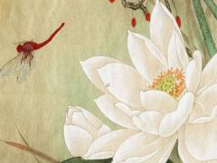 屬龍男人最佳婚配,屬龍男的最佳配偶