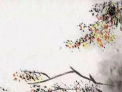 屬兔和屬龍的結(jié)婚好嗎,屬兔和屬龍結(jié)婚了之后財(cái)運(yùn)好不好