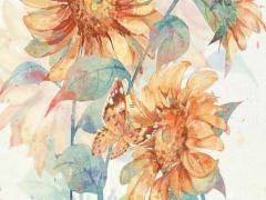 農(nóng)歷和陽歷同一天生日 農(nóng)歷和陽歷同一天生日好嗎