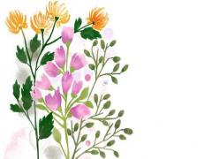 8月15日韓國什么節(jié)日 8月15日韓國是什么日子