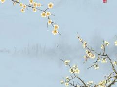 屬蛇男和屬兔女最佳婚配,屬蛇男和屬兔女在一起合適嗎