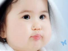 百家姓——李姓取名大全 李姓最好聽的名字大全