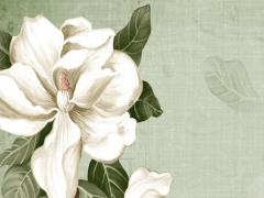 農(nóng)歷正月初八是陽歷的幾號(hào) 陰歷正月初八是幾月幾日