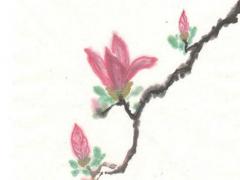 99年屬兔的適合考公務員嗎,1999年屬兔考研