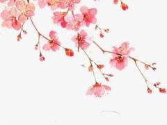 92年女孩屬猴的婚姻 92年屬猴人女注定的婚姻