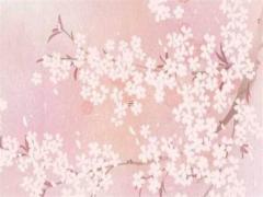 屬豬男最佳妻子,屬豬男人最佳妻子