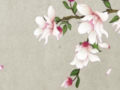 對八字看配偶的異議 八字看配偶身體狀況