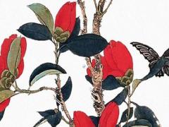 虎的姻緣跟什么搭配 虎年姻緣與什么配