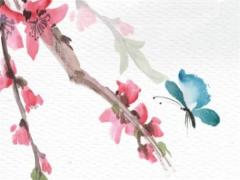 豪字五行屬什么 子字五行屬什么