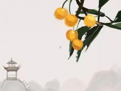 兔子和人類年齡對(duì)照表 兔子和壽命