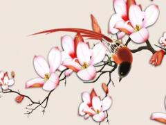 八字有寡宿是什么意思 男命有寡宿是什么意思