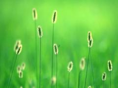 周公解夢大全查詢夢見床上有小孩 夢見床上有一個小孩