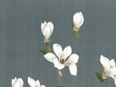 屬虎農歷6月運勢如何 屬虎的農歷六月運勢