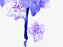 算命花子什么意思 花子命是信仰崇拜嗎