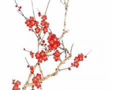 9月27號農歷是多少 1982年9月27號農歷是多少