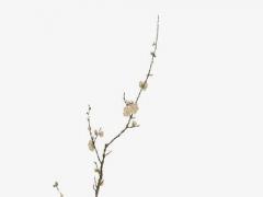 五行八字怎么算 測五行八字缺什么