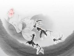 發財樹長什么樣子蟲子圖片 發財樹一般有什么蟲害