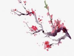 84年屬鼠有婚變嗎 84年的鼠婚姻怎么樣