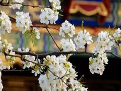 2020年最新qq情侶網(wǎng)名 qq情侶網(wǎng)名大全2018