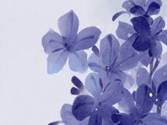 八字帶酉戌相害的富貴的人 八字里酉戌相害是誰害誰