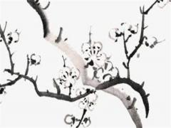 屬豬71年離婚今年有找對象嗎,71年豬男2023年會離婚嗎