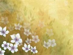 通過生辰八字算命姻緣準不 生辰八字算命姻緣可信嗎