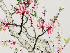 生日陽(yáng)歷和陰歷同一天 生日陽(yáng)歷和陰歷同一天好嗎