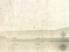 八字中本氣通根是什么意思 不是本氣通根是什么意思