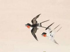 女八字大是什么意思呢 女的八字大是什么意思