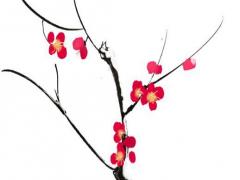 陳冠希八字命理分析 李雙林八字命理分析