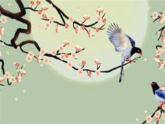 原子幣會成功嗎 原子幣有前景嗎