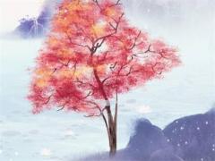 算命的能算出在同居嗎 算命可以算出來兩人同居嗎