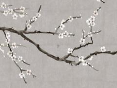 生辰八字算命準不準人命天注定 生辰八字算命準不準可信不可信