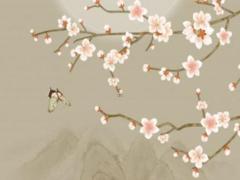 88年屬龍女與屬兔男配嗎 88年屬龍男配99屬兔女