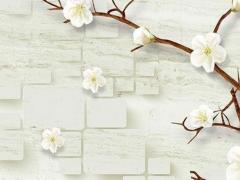 八字看你五行缺什么 八字看五行缺什么