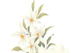 萬年歷2003年日歷表全年 2003的萬年歷