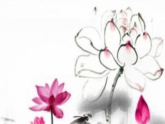 屬兔女找什么屬相最合適,屬兔女找什么屬相最好