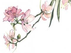 八字跟五行怎么轉換 五行與八字的對應關系