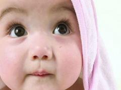 好聽的八哥犬名字