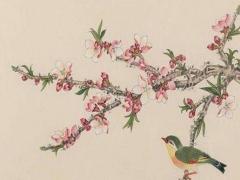 八字中年干最理想的是什么意思 什么八字中年發財