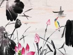 聽說今年屬豬是金命嗎,今年生肖豬是什么命