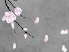 53年2月11的屬蛇人什么時辰出生好,1953年11月屬蛇的是什么命