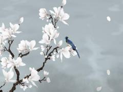 屬雞不宜婚配的屬相 屬雞不能跟什么配