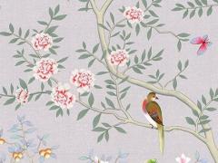 自在道人重組八字理論 自在道人批命最新視頻