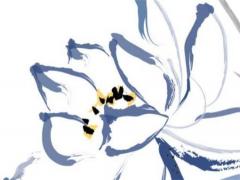 77年屬蛇男的后半生最佳伴侶,77年屬蛇男陪伴終身是誰