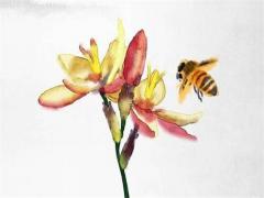 雞跟狗結婚命運如何 屬雞跟屬狗的姻緣怎么樣