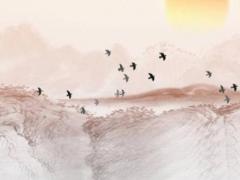 刑官命運(yùn)是什么意思 官刑的意思